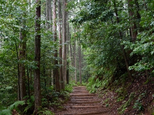 熊野古道の風景