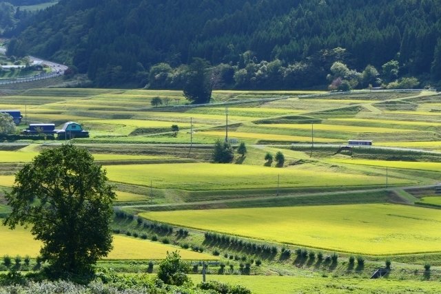 遠野の写真