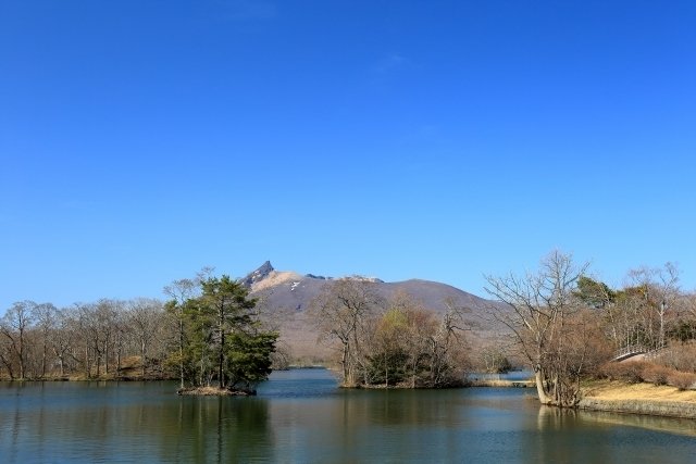 大沼公園の写真