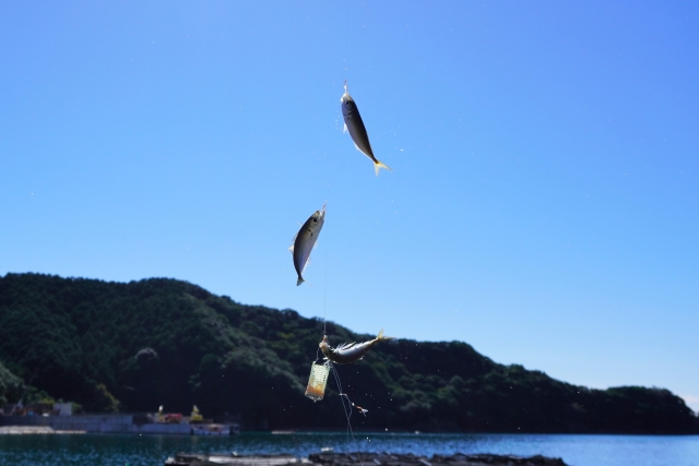 サビキ釣りの写真