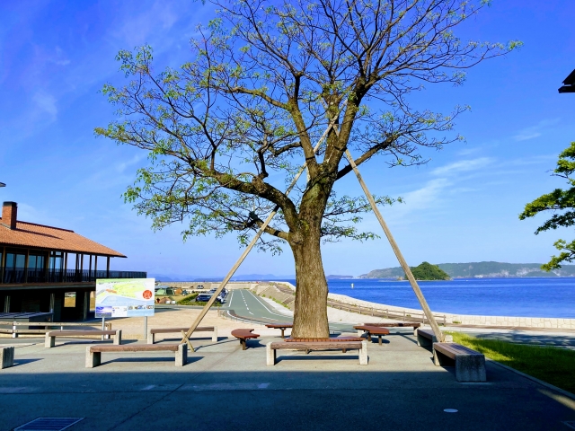 道の駅阿武町と海岸線の風景