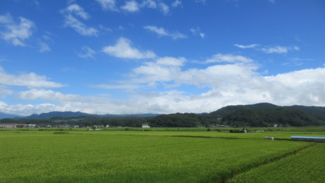 佐久盆地の田園風景