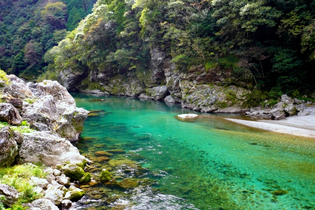 清流仁淀川の写真