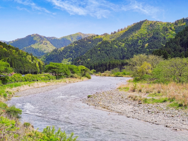 美山町を流れる由良川の風景