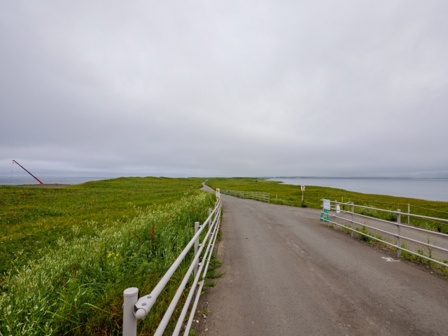 サロマ湖のワッカ原生花園を走る道