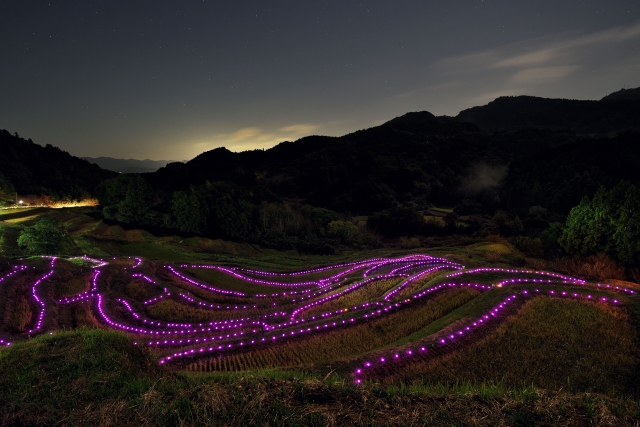 千葉県大山千枚田をライトアップ