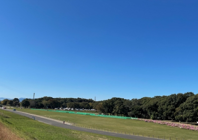 出発点になる庄内緑地公園