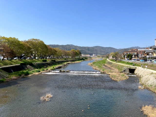 鴨川沿う道