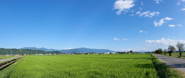 松本市内の田園風景と道