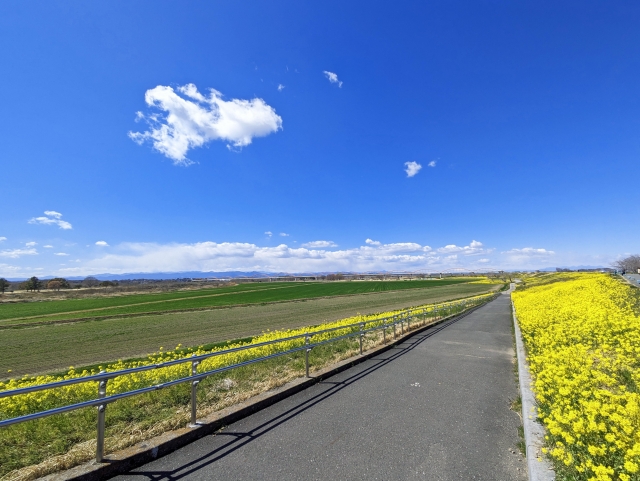 自転車専用道路のイメージ写真荒川