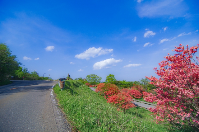 那須高原を走る道