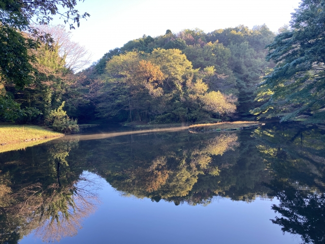 座間谷戸山公園