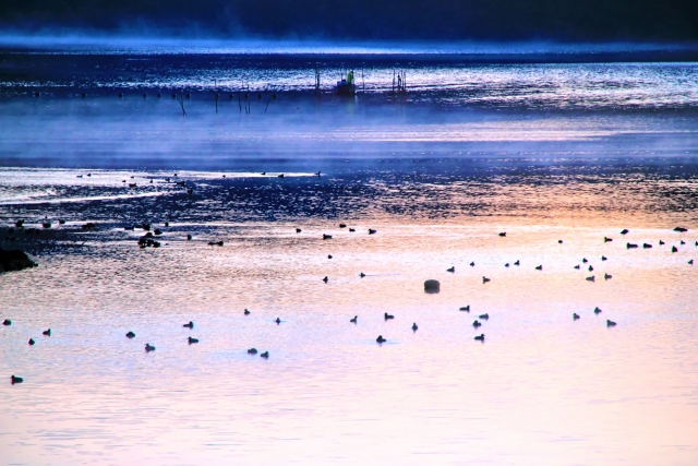 早朝の中海の風景