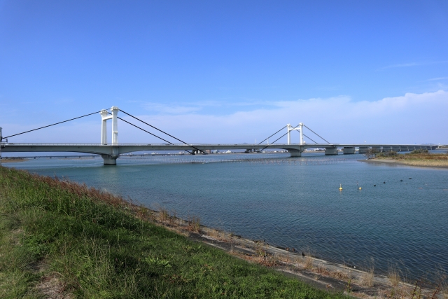 阿波しらさぎ大橋と吉野川