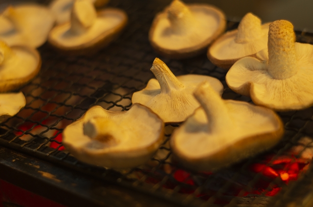 しいたけの網焼き