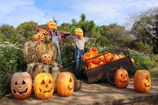 ハロウィン（イメージ）