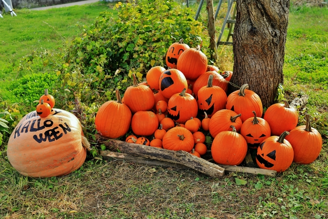 ハロウィンカボチャ（イメージ）
