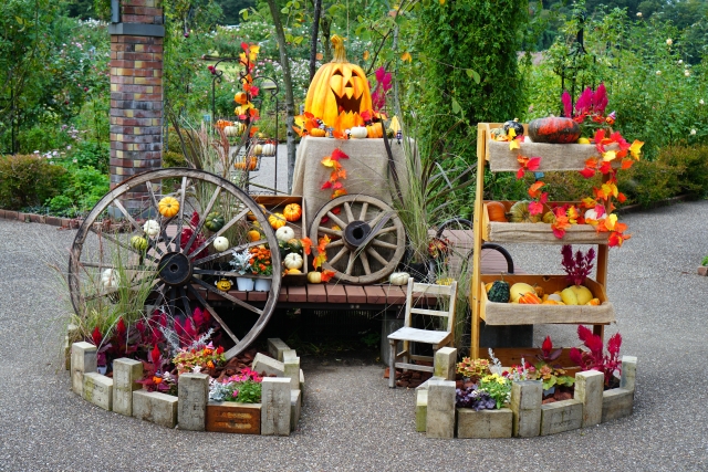 ハロウィンイメージ
