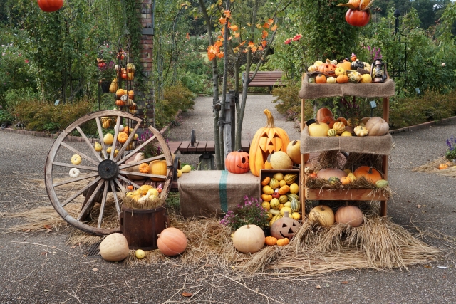 国営越後丘陵公園のハロウィン