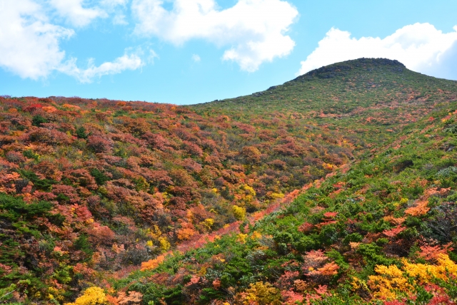 福島安達太良山の紅葉