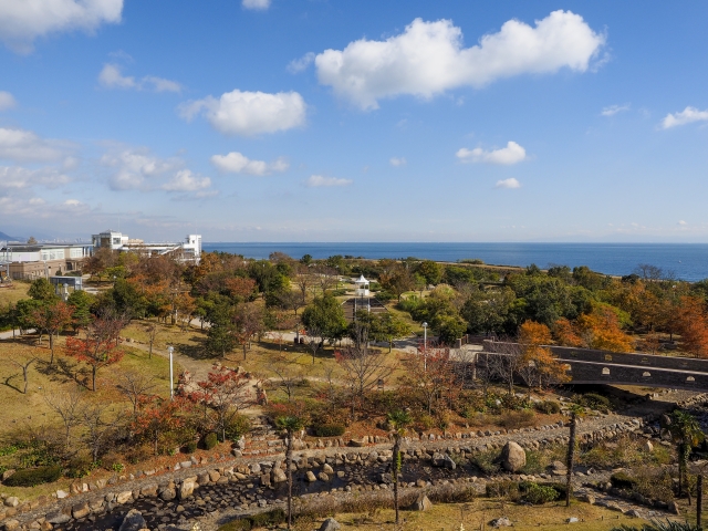 秋の明石海峡公園