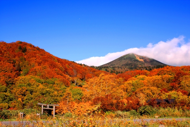 酸ヶ湯温泉からの八甲田山
