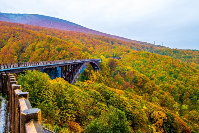 青森城ヶ倉大橋