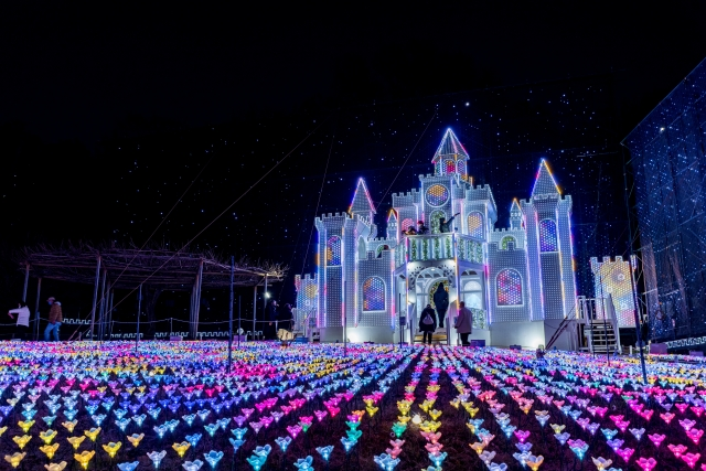 Ashikaga Flower Park Illumination