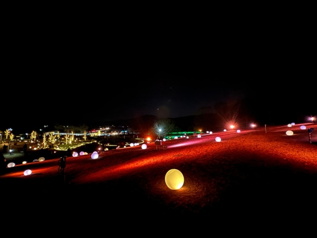 Ibaraki Flower Park Illumination