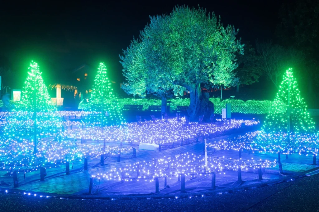 イルミネーション