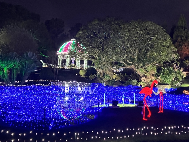Florante Miyazaki Illumination Flower Garden