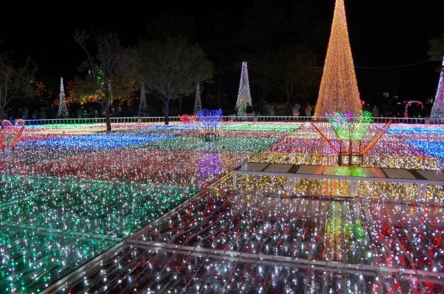 Florante Miyazaki Illumination Flower Garden