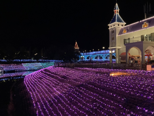 Reoma World Illumination