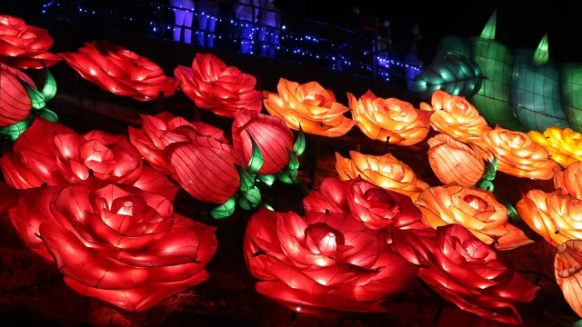 ぐらんぱる公園のイルミネーション