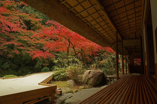 Kyunenan Garden