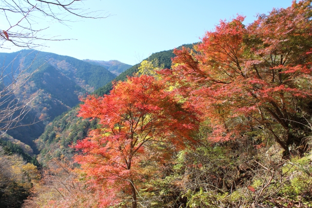 Koya-Ryujin Skyline