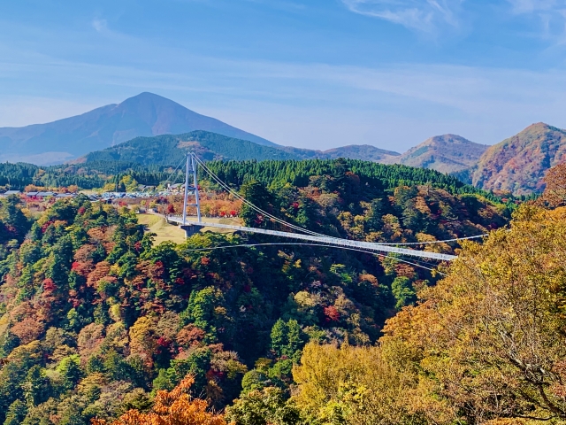 Kokonoe 'Yume' Suspension Bridge