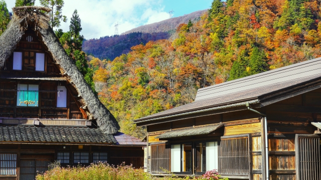 Gokayama Suganuma Gassho-zukuri