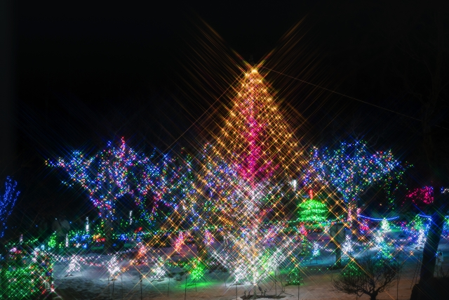 Yamanakako Hananomiyako Park