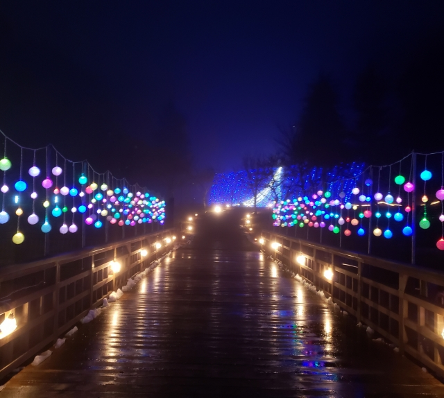 Yamanakako Hananomiyako Park