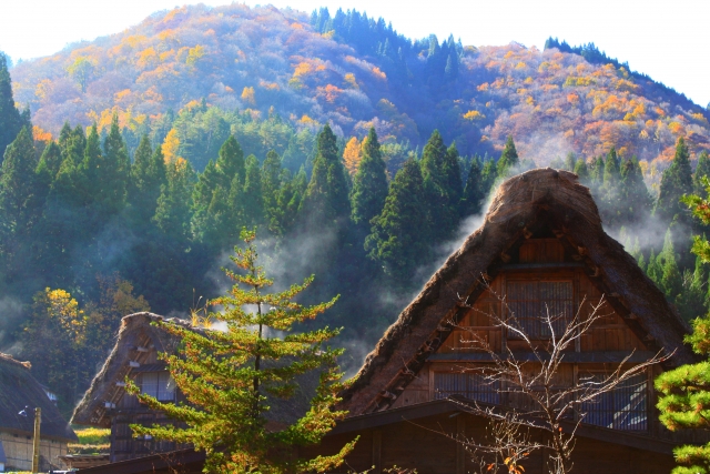 Shirakawa-go Gassho-zukuri and autumn foliage