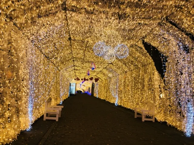 時之栖「光のトンネル」