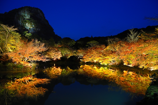 Mifuneyama Illumination