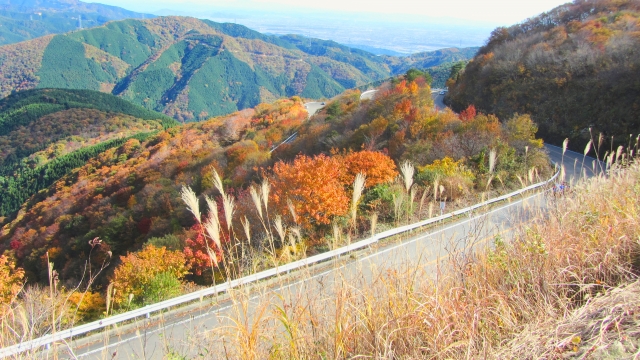 Ibuki Mountain Driveway