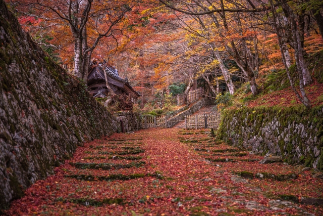 Hyakusaiji Temple