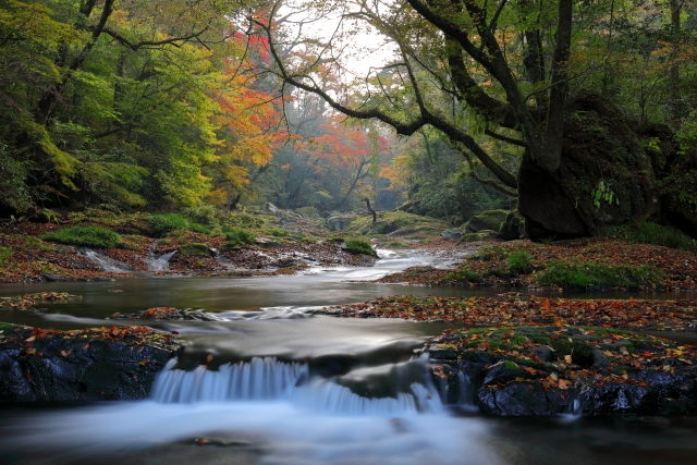 Kikuchi Gorge