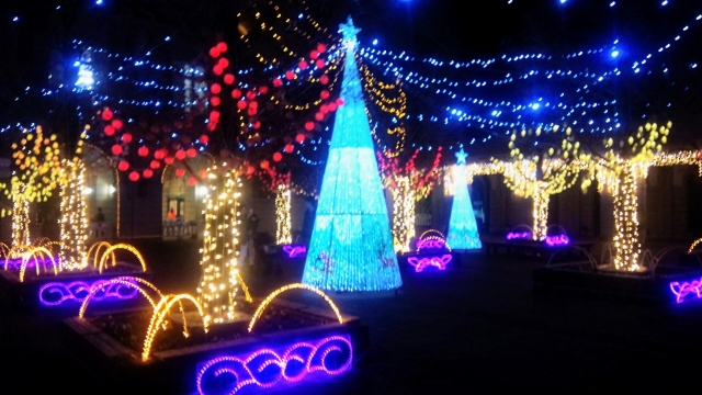 神戸フルーツフラワーパーク大沢イルミネーション