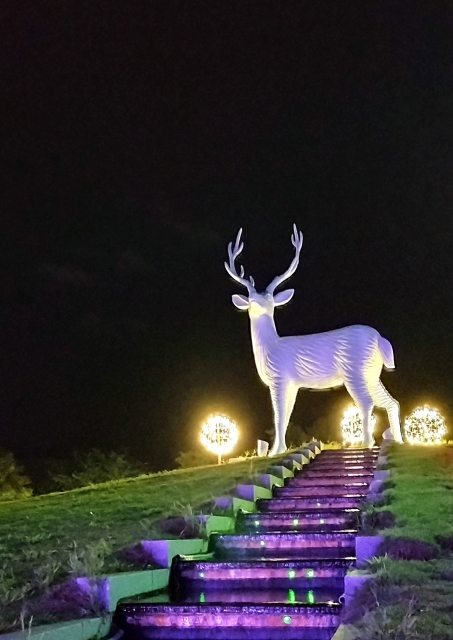 ゆりの里公園ライトアップ