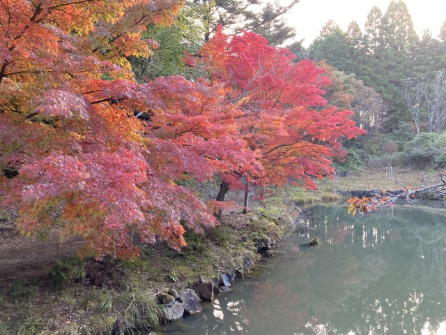 Ritsuunkyo