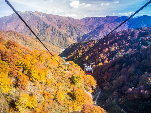 谷川岳ロープウェイ